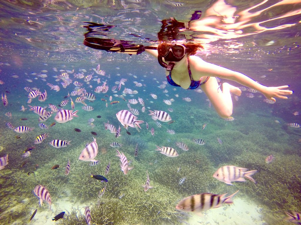 愛妮島_獨家行程6-2