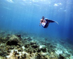 好評如潮 野孩子超推薦【五天跳島行程】把那些愛妮島必玩經典好行程，一次打盡！