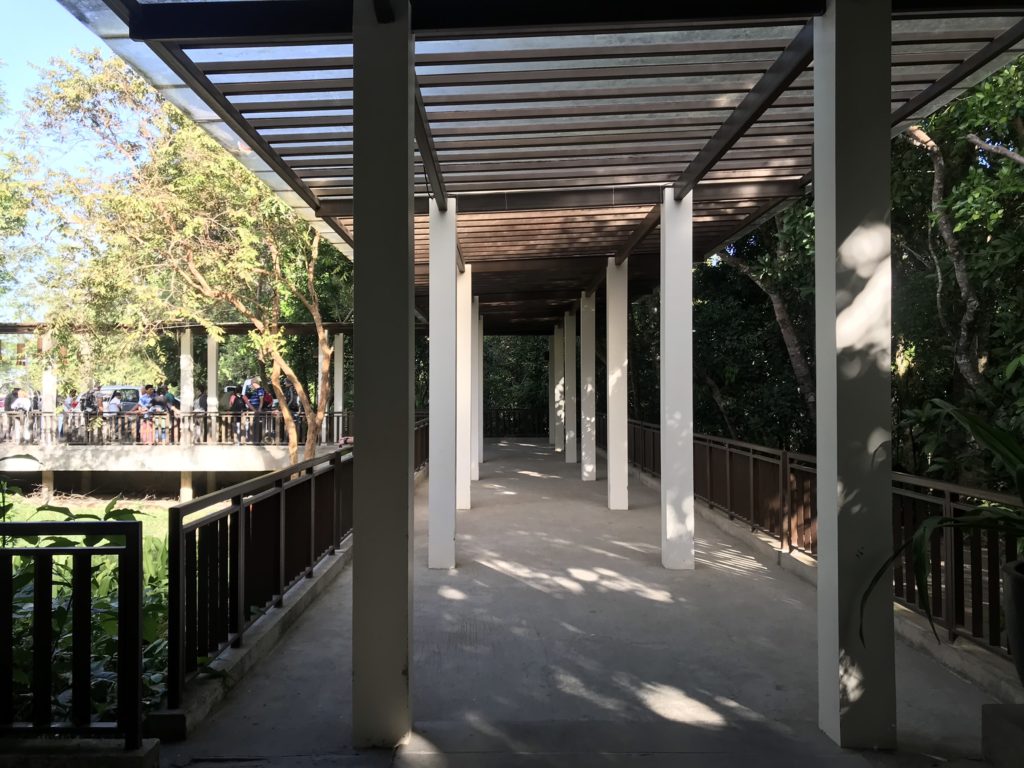 愛妮島自由行-交通攻略-愛妮島機場-Airswift小飛機-10